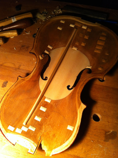 Viola repair