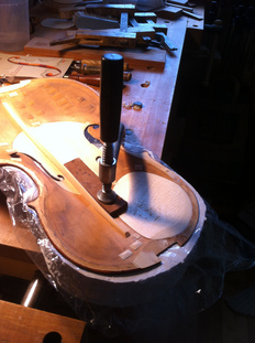 Viola repair